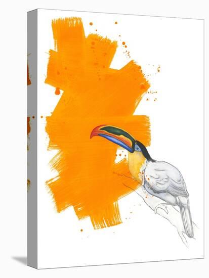 Toucan-Millie Brooks-Stretched Canvas
