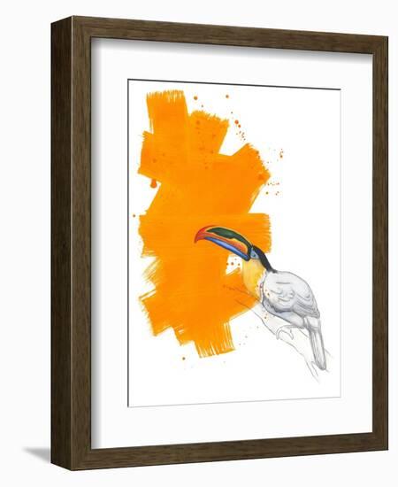 Toucan-Millie Brooks-Framed Giclee Print