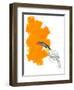 Toucan-Millie Brooks-Framed Giclee Print