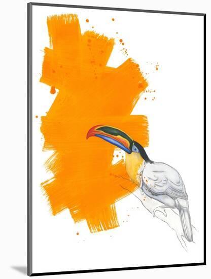 Toucan-Millie Brooks-Mounted Giclee Print