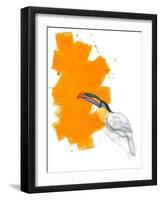 Toucan-Millie Brooks-Framed Giclee Print