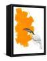 Toucan-Millie Brooks-Framed Stretched Canvas