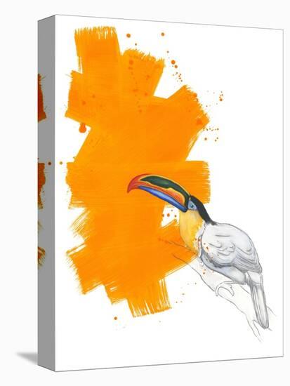 Toucan-Millie Brooks-Stretched Canvas