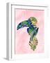 Toucan-Anna Quach-Framed Art Print