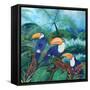 Toucans, 2012-Lisa Graa Jensen-Framed Stretched Canvas