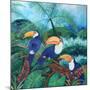 Toucans, 2012-Lisa Graa Jensen-Mounted Giclee Print