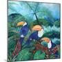 Toucans, 2012-Lisa Graa Jensen-Mounted Giclee Print