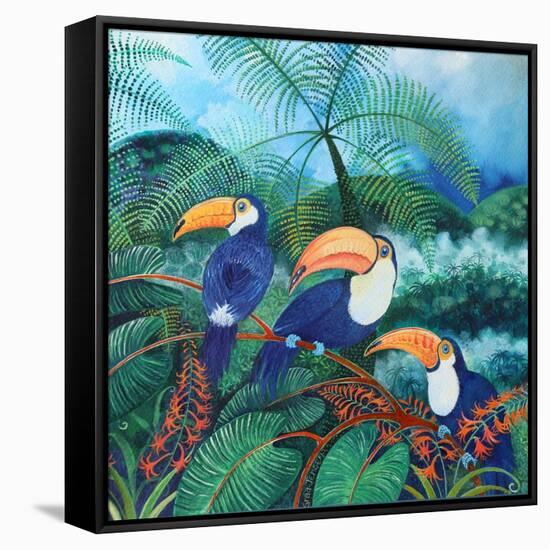 Toucans, 2012-Lisa Graa Jensen-Framed Stretched Canvas