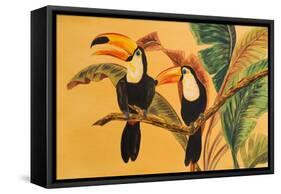 Toucans I-Linda Baliko-Framed Stretched Canvas