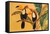 Toucans I-Linda Baliko-Framed Stretched Canvas