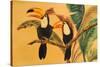 Toucans I-Linda Baliko-Stretched Canvas