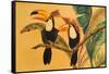 Toucans I-Linda Baliko-Framed Stretched Canvas