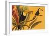 Toucans II-Linda Baliko-Framed Art Print