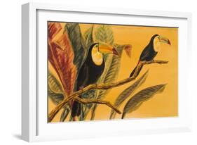 Toucans II-Linda Baliko-Framed Art Print