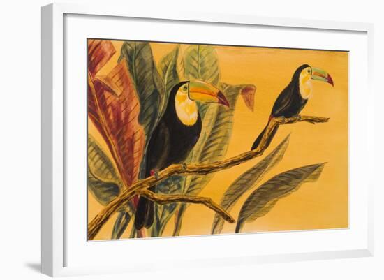 Toucans II-Linda Baliko-Framed Art Print