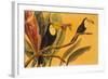 Toucans II-Linda Baliko-Framed Art Print