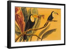 Toucans II-Linda Baliko-Framed Art Print