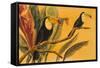 Toucans II-Linda Baliko-Framed Stretched Canvas
