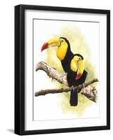 Toucans-Barbara Keith-Framed Giclee Print