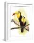 Toucans-Barbara Keith-Framed Giclee Print