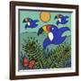 Toucans-Denny Driver-Framed Giclee Print