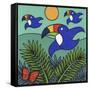 Toucans-Denny Driver-Framed Stretched Canvas