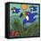 Toucans-Denny Driver-Framed Stretched Canvas