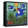 Toucans-Denny Driver-Framed Stretched Canvas