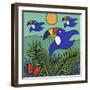 Toucans-Denny Driver-Framed Giclee Print