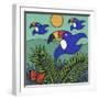 Toucans-Denny Driver-Framed Giclee Print