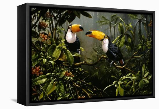 Toucans-Michael Jackson-Framed Stretched Canvas