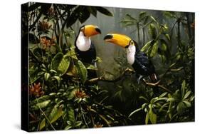 Toucans-Michael Jackson-Stretched Canvas