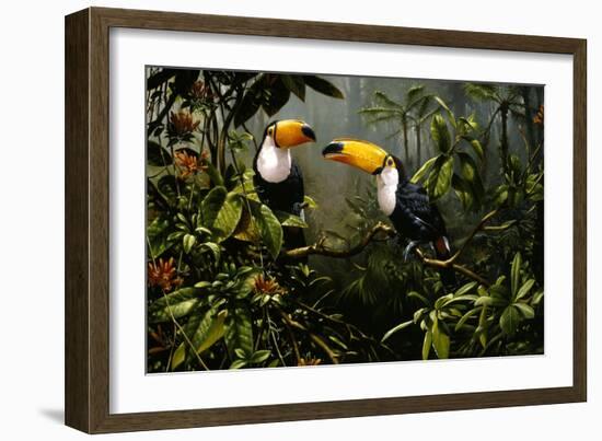 Toucans-Michael Jackson-Framed Giclee Print