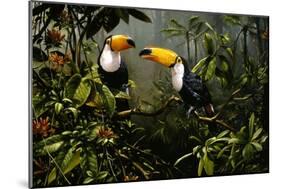 Toucans-Michael Jackson-Mounted Giclee Print