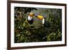 Toucans-Michael Jackson-Framed Giclee Print