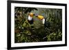 Toucans-Michael Jackson-Framed Giclee Print