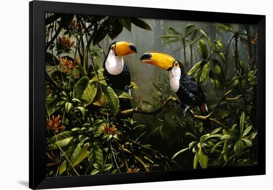 Toucans-Michael Jackson-Framed Giclee Print