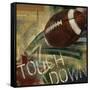 Touch Down-Eric Yang-Framed Stretched Canvas