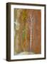 Touch of Autumn 1-Trevor V. Swanson-Framed Giclee Print