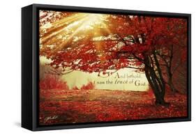 Touch of God-Jason Bullard-Framed Stretched Canvas