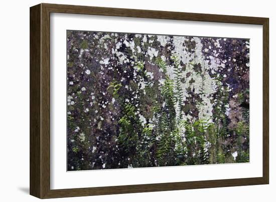 Touch Of Green-Incredi-Framed Giclee Print
