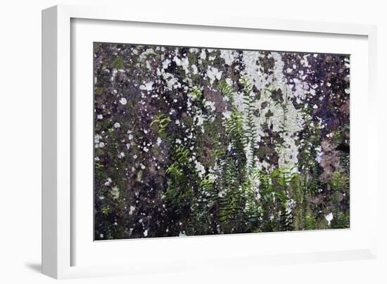 Touch Of Green-Incredi-Framed Giclee Print