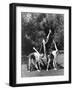 Black Frame