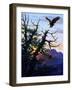 Touchdown-Jeff Tift-Framed Giclee Print