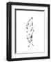 Touched by a Feather-Hanna Lee Tidd-Framed Giclee Print