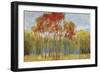 Touches of Red-Andrew Michaels-Framed Art Print