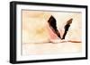 Touching Down I-Annie Warren-Framed Art Print