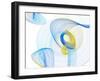 Touching Light II-Irena Orlov-Framed Photographic Print