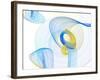 Touching Light II-Irena Orlov-Framed Photographic Print