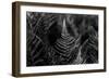 Touching the Sky-Henriette Lund Mackey-Framed Photographic Print